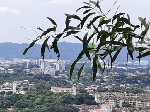 Kampung Manggis