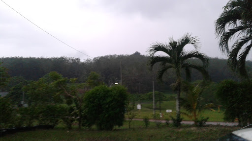 Masjid Jamek Ladang Voules